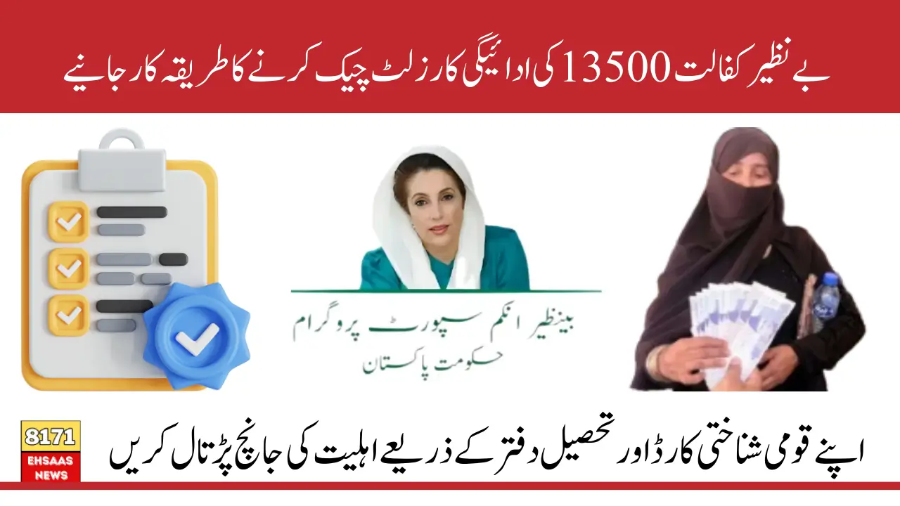 Find Out Your Benazir Kafalat 13500 Payment Result Using 8171 SMS or Tehsil Office